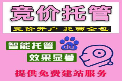 百度竞价SEM策略解析：某品牌广告成功的关键因素